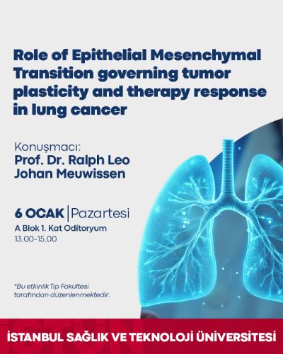 Role of Epithelial Mesenchymal Transition governing tumor plasticity and therapy response in lung cancer